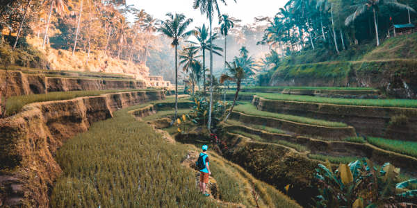 Praktikum In Indonesien Auslandspraktikum Auf Bali Indonesien